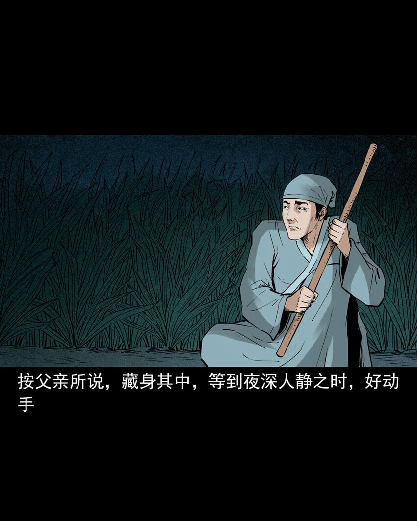 95 第95话大王八精30