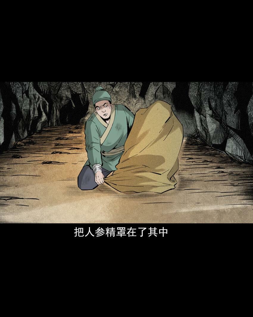 70 第70话千年人参精27