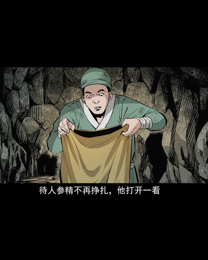 70 第70话千年人参精28