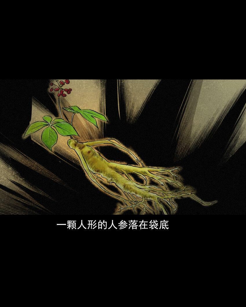 70 第70话千年人参精29