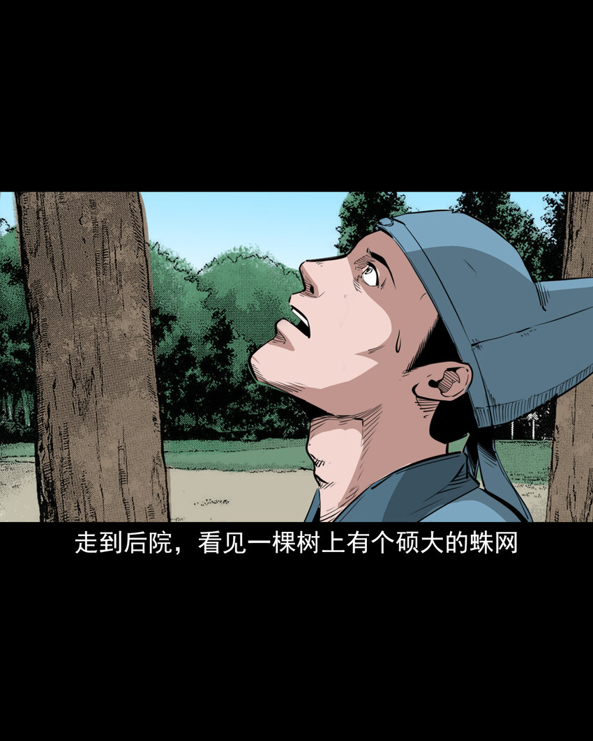 43 第43话绿衣仙子36