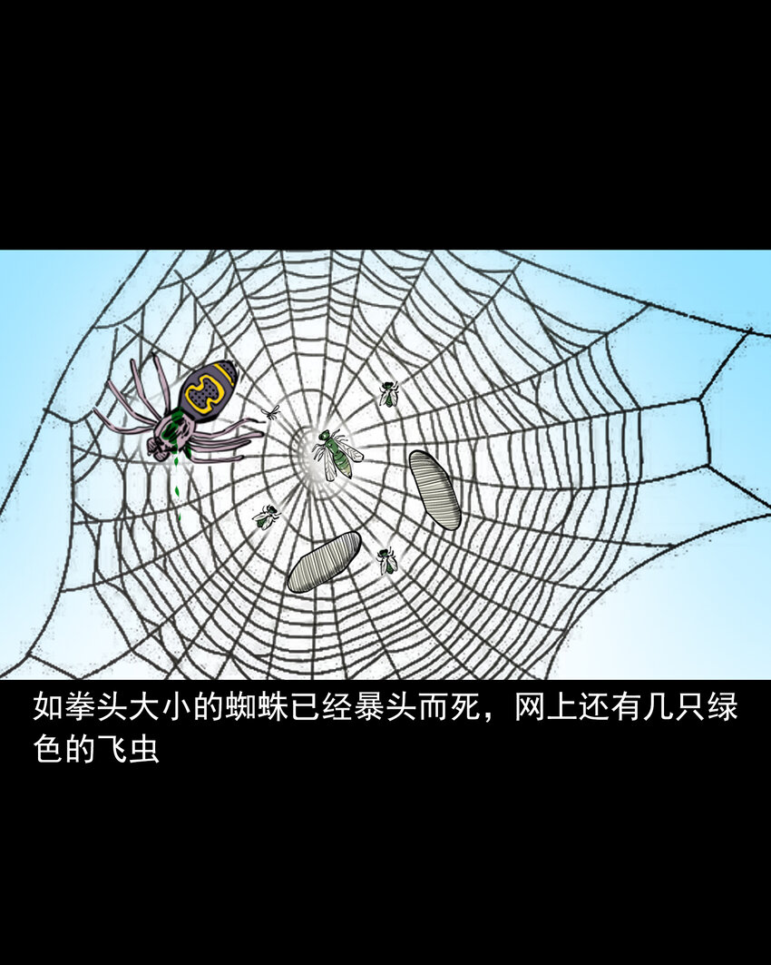 43 第43话绿衣仙子37