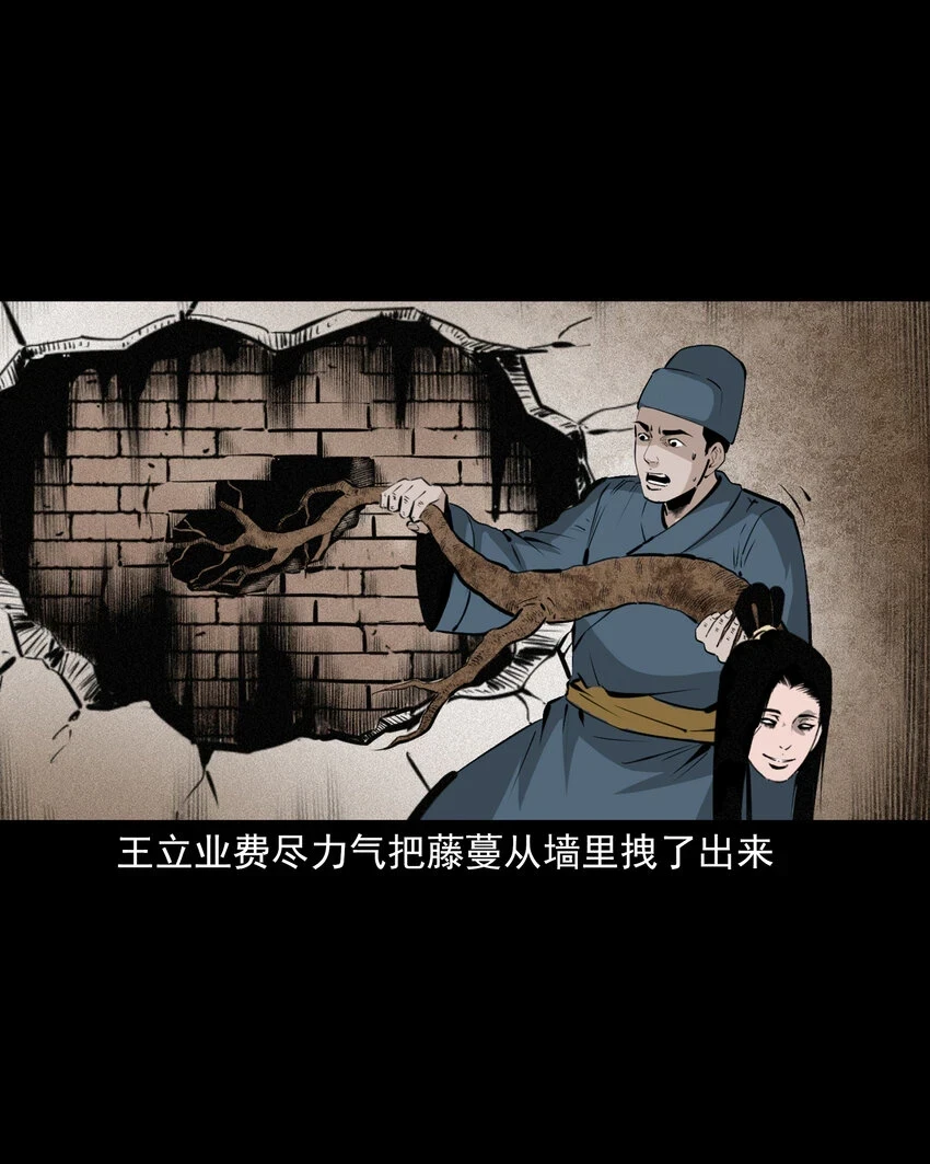 61 第61话美人头41
