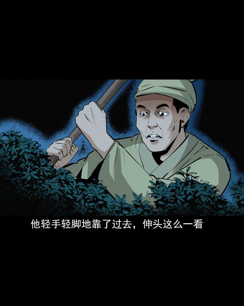 71 第71话蛇妻11