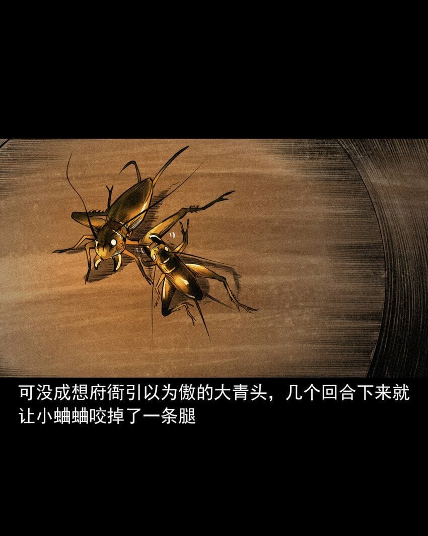 78 第78话神虫29