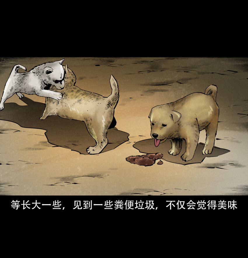 16话三省转世47