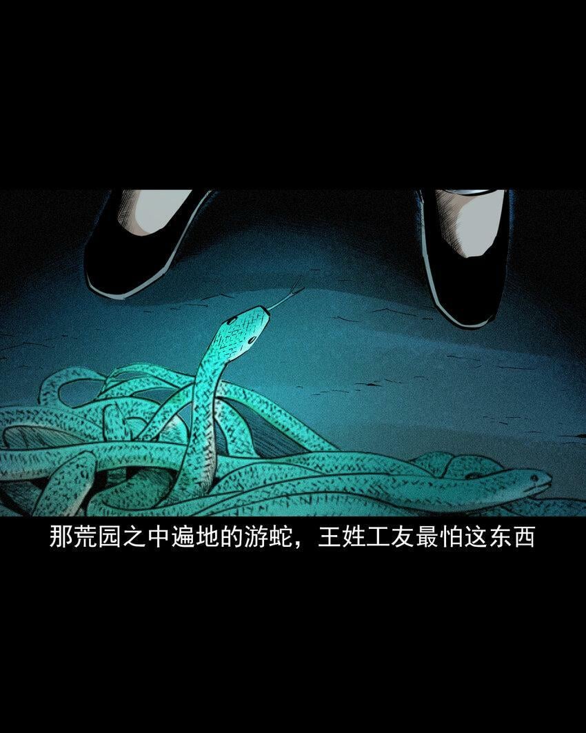 71 第71话蛇妻37