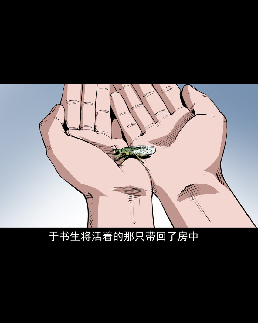 43 第43话绿衣仙子38
