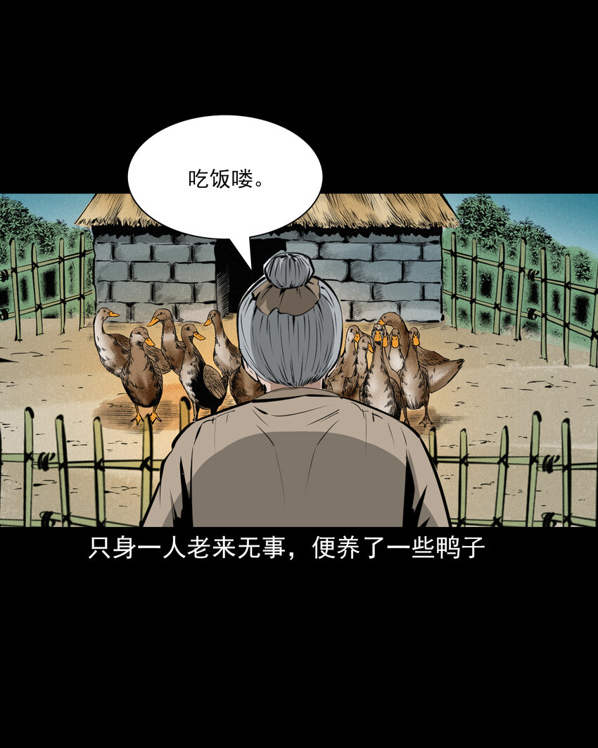 51 第51话小偷变鸭子2