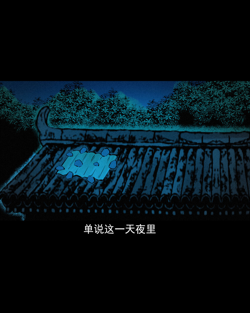 51 第51话小偷变鸭子11