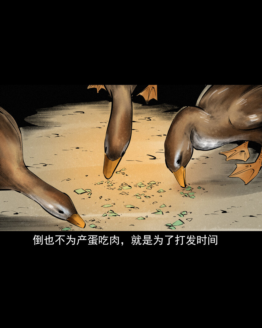 51 第51话小偷变鸭子4