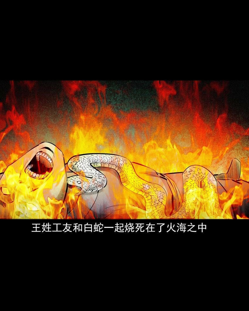 71 第71话蛇妻41