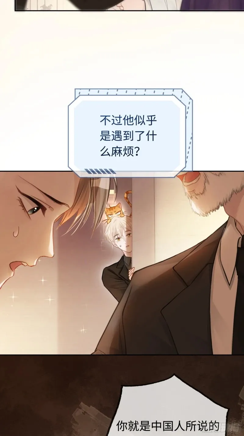 04 兔子本体暴露了！11