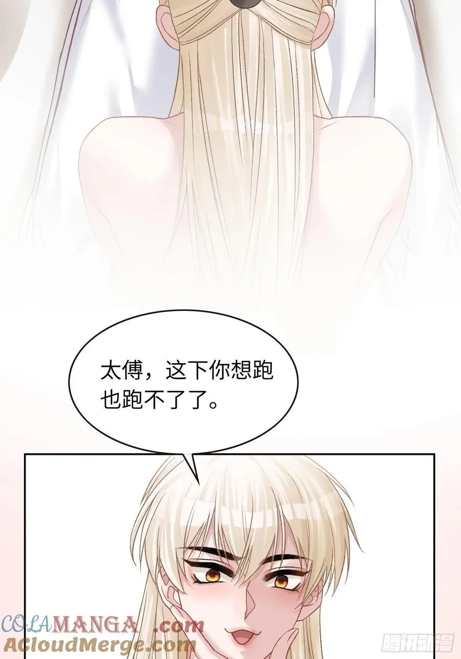 17 禁欲太傅别想逃20