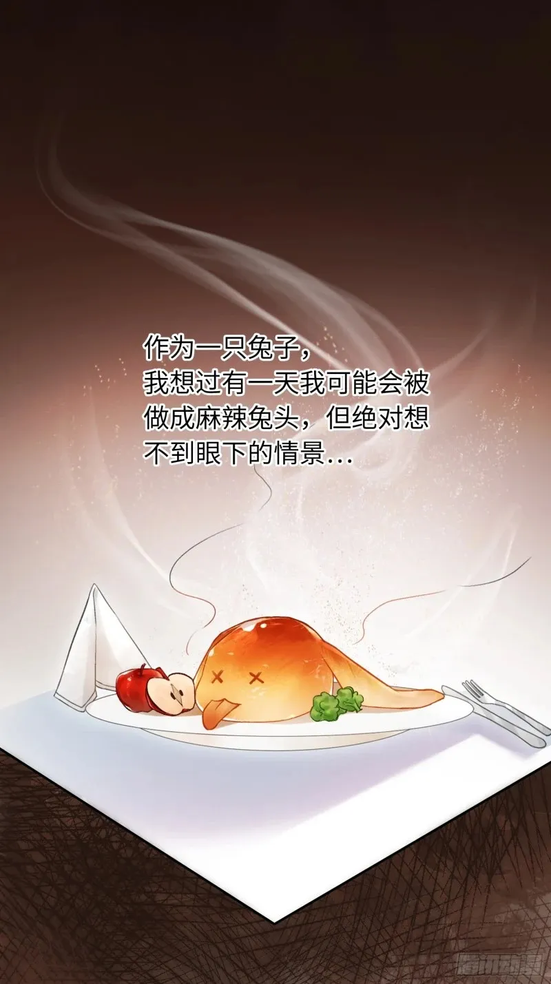 04 兔子本体暴露了！42