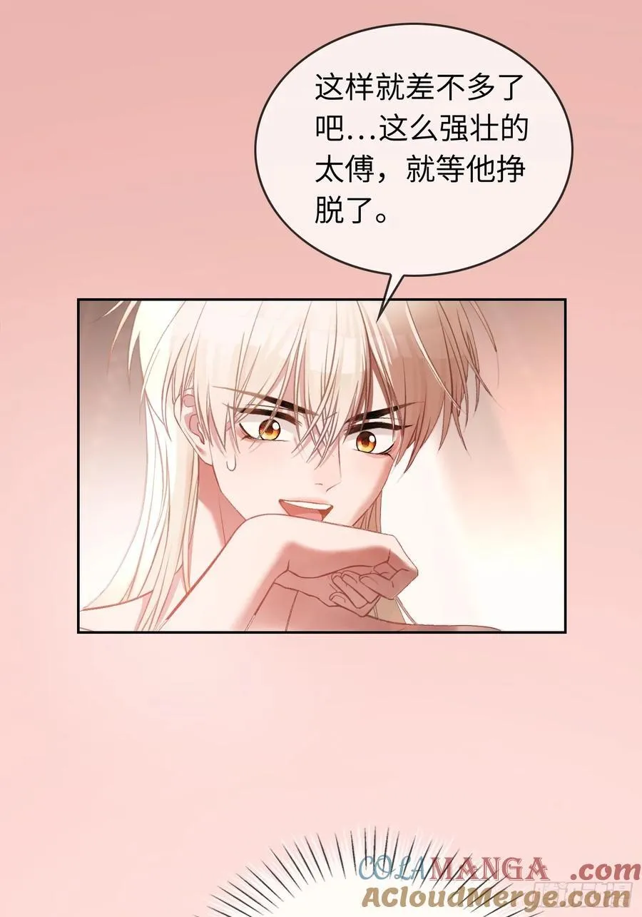 17 禁欲太傅别想逃24