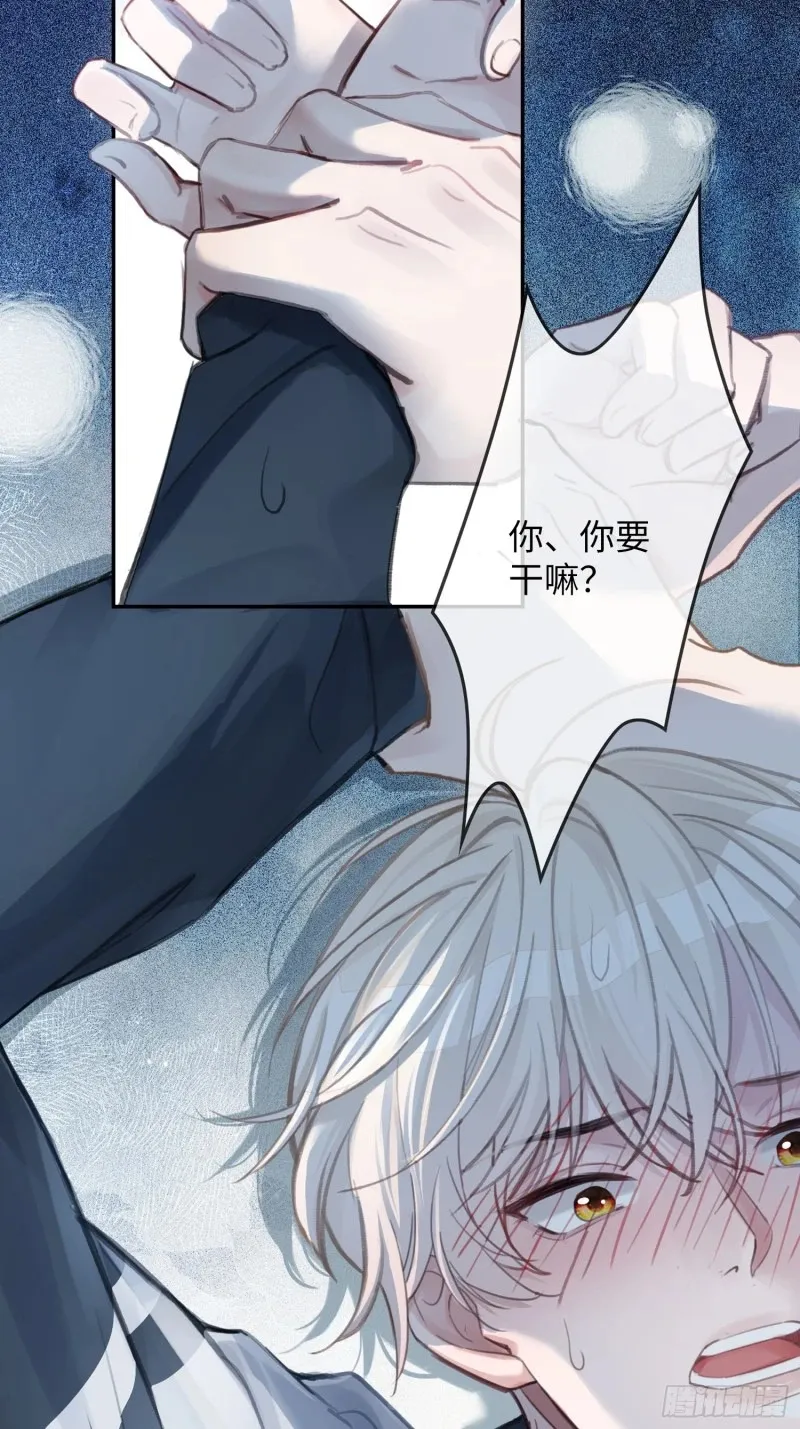 预热：怂萌兔子精vs白切黑抖S6