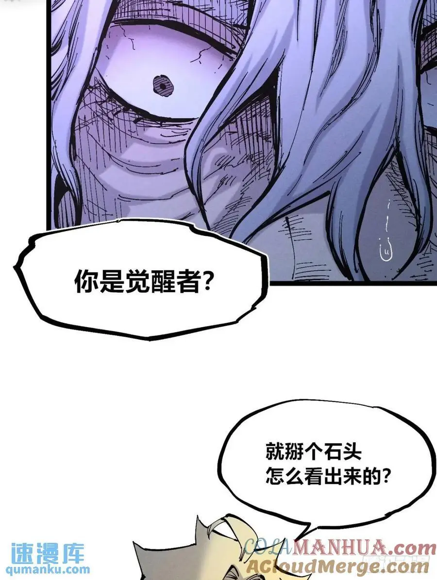 坦布尔的报复33