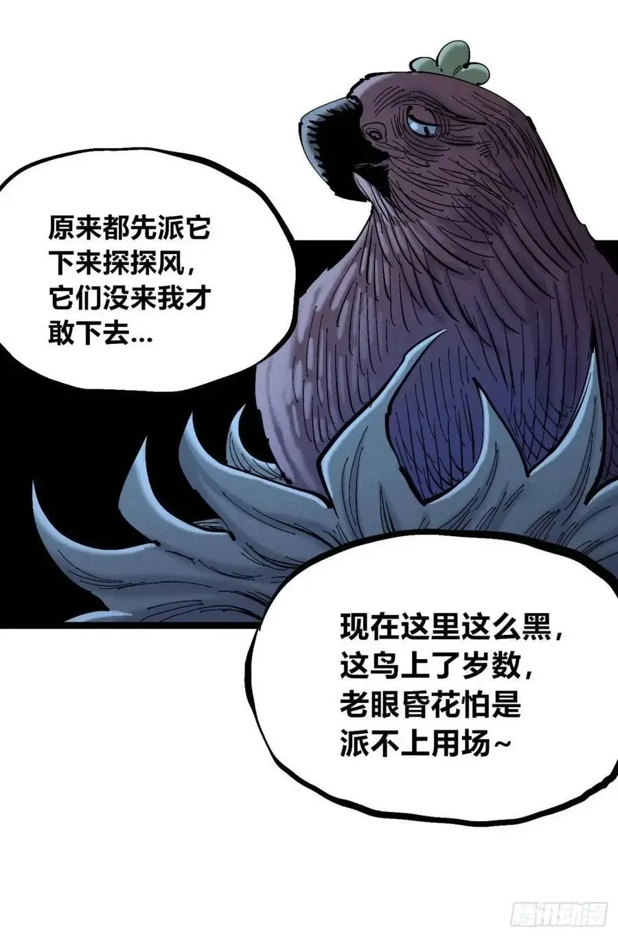 秃头包围圈40