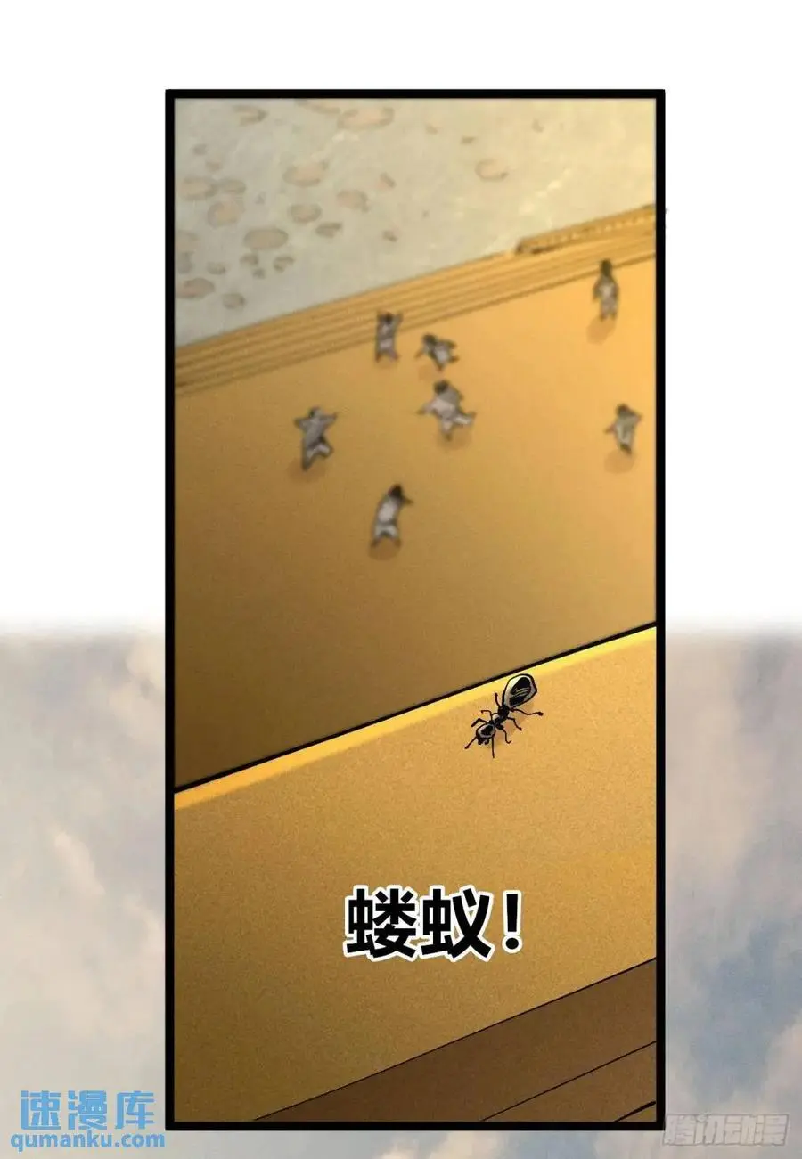 起点与终点62