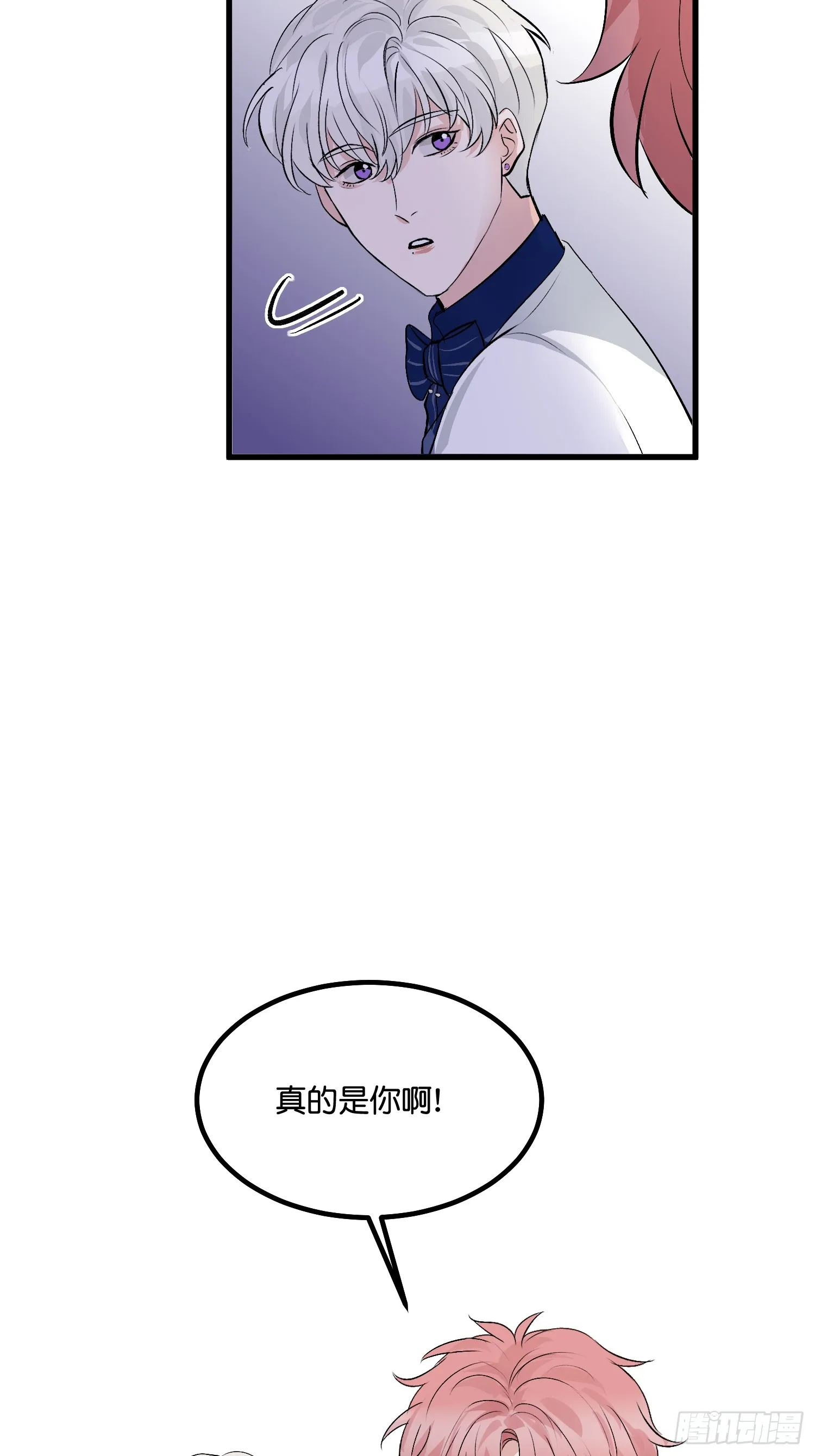 008 懒得抬咖14
