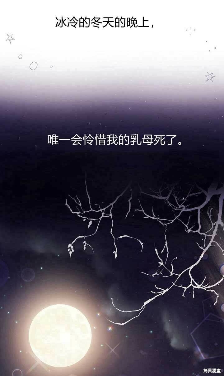 序章 冒牌货就不配拥有爱吗？97