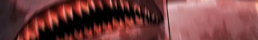11 母亲71