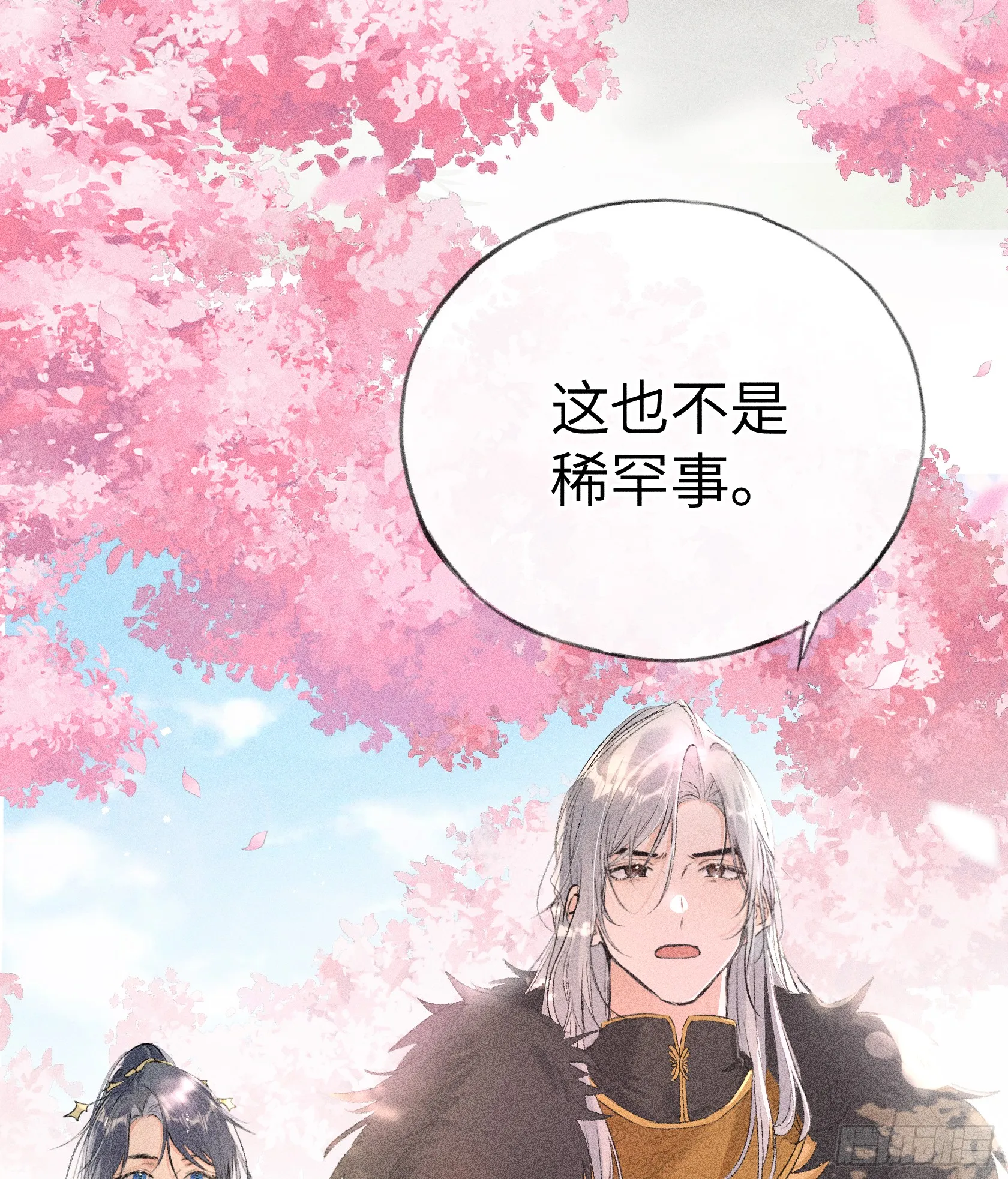 11 肉包公子将崛起？17