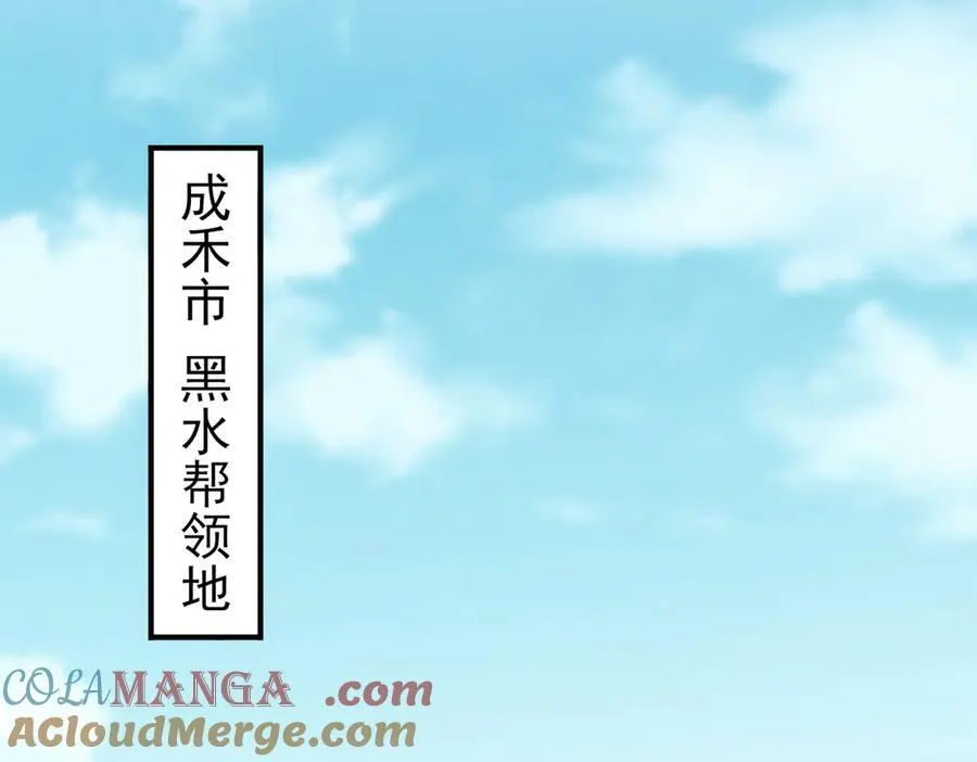 29专业的杀手48