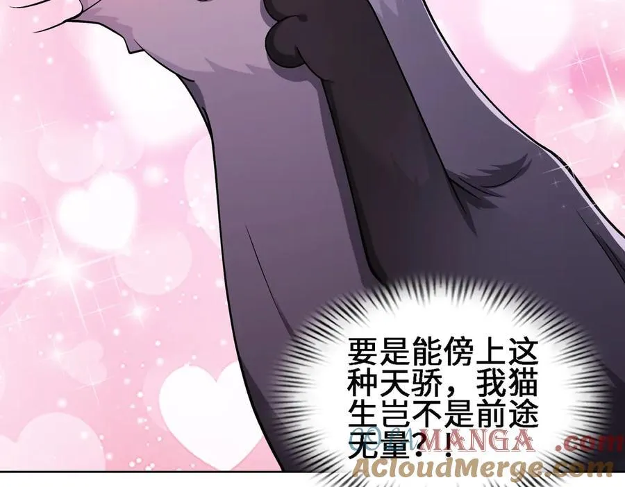 27应兆猫-水由40