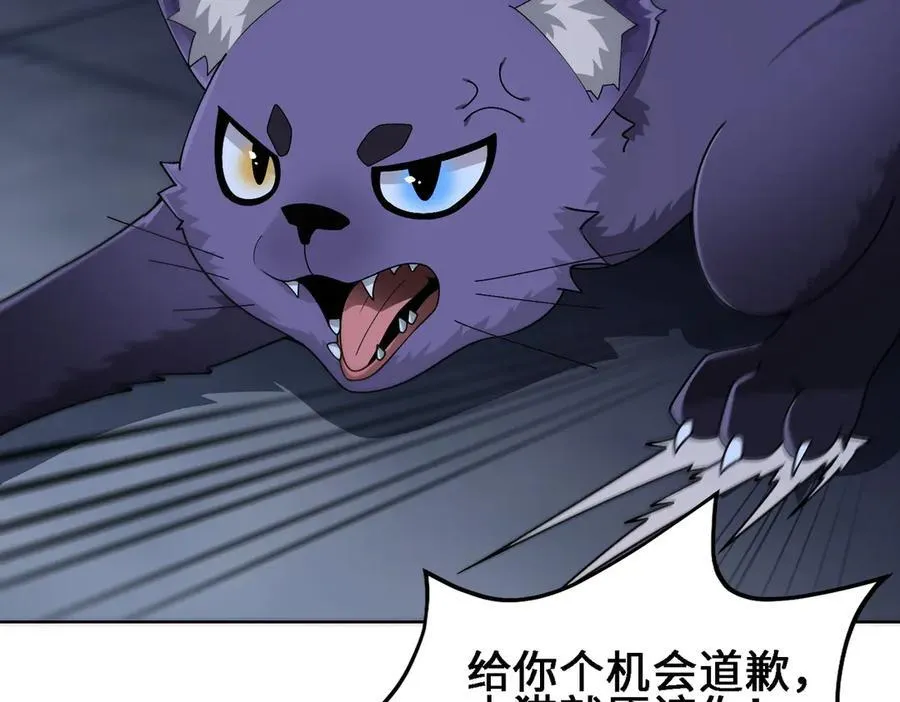 27应兆猫-水由46
