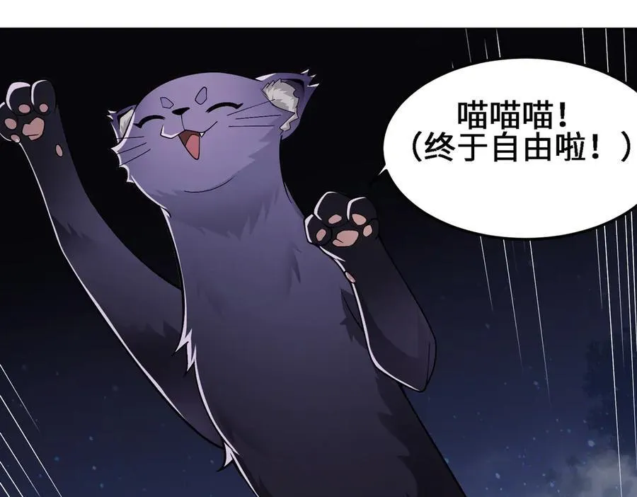 27应兆猫-水由33