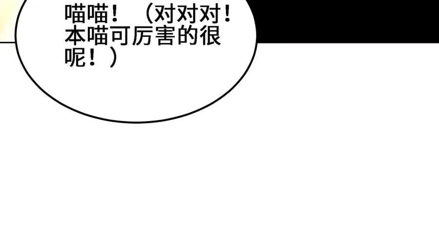 27应兆猫-水由53