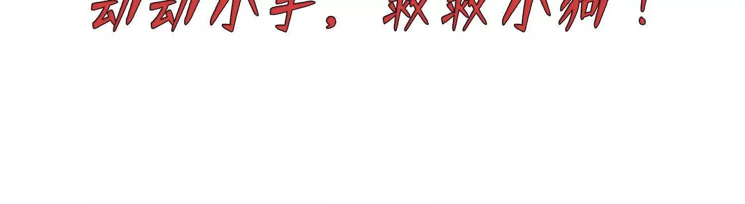 07三首恶犬161