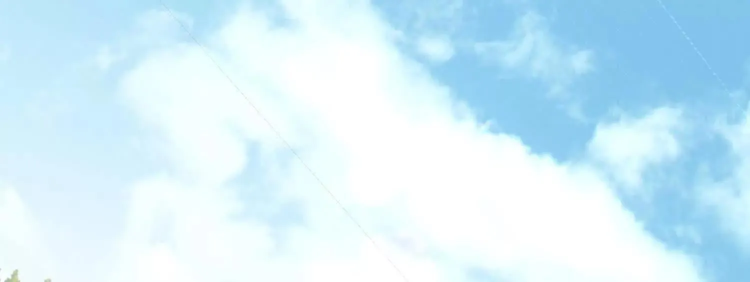 06顾家的邀请89