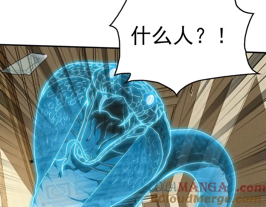 29专业的杀手84