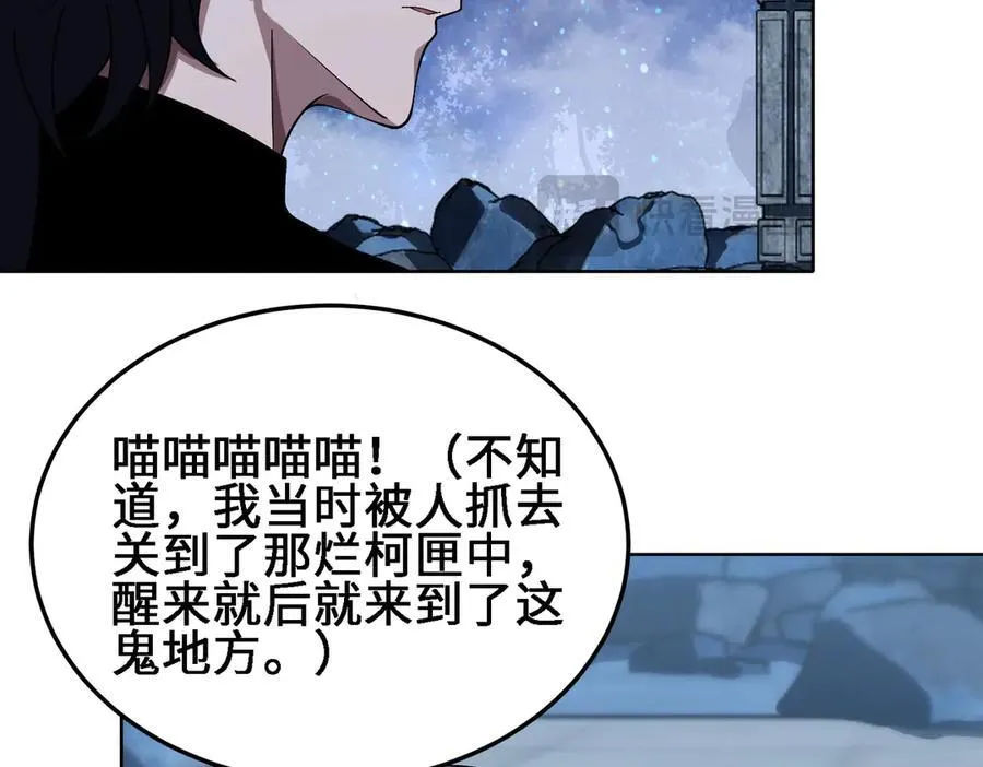 27应兆猫-水由55