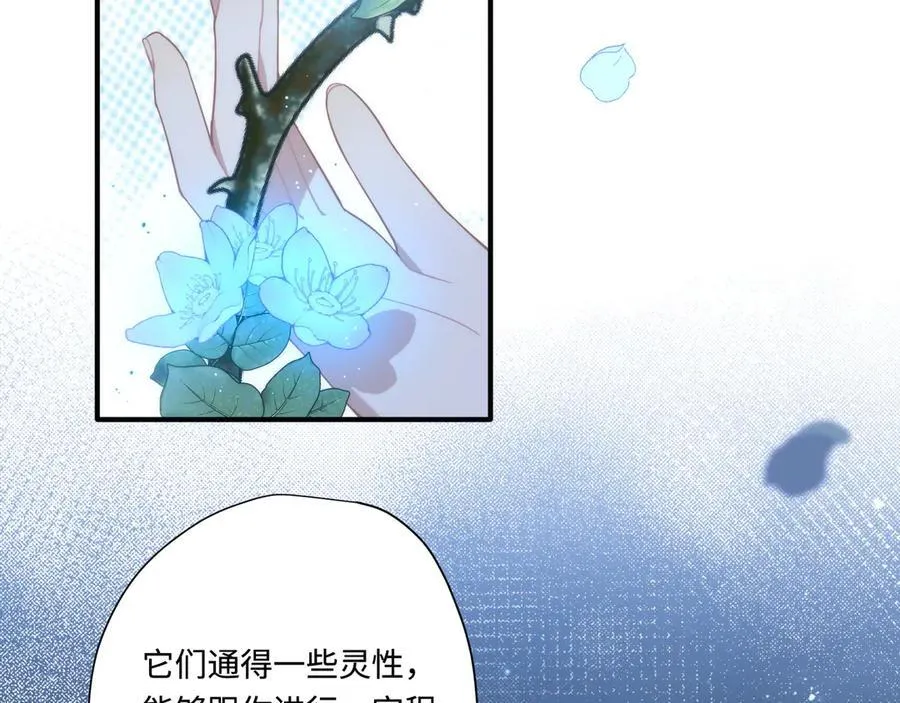第十三话 尼尔丝老师？2
