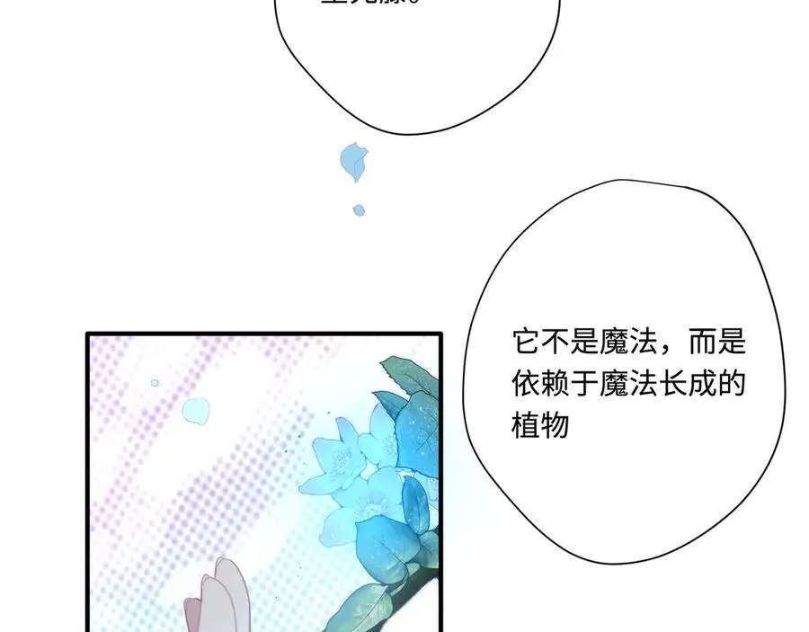 第十三话 尼尔丝老师？1