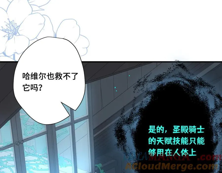 第十二话 魔法72