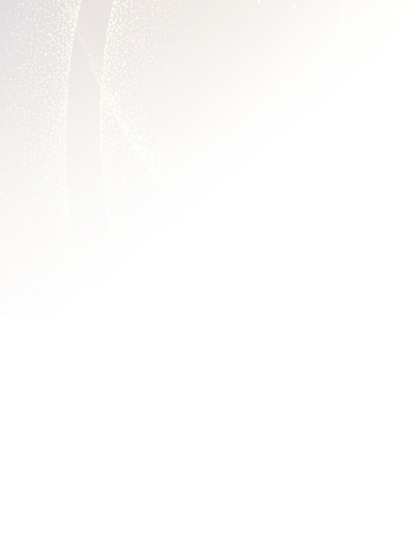 22 圣洁的光芒50