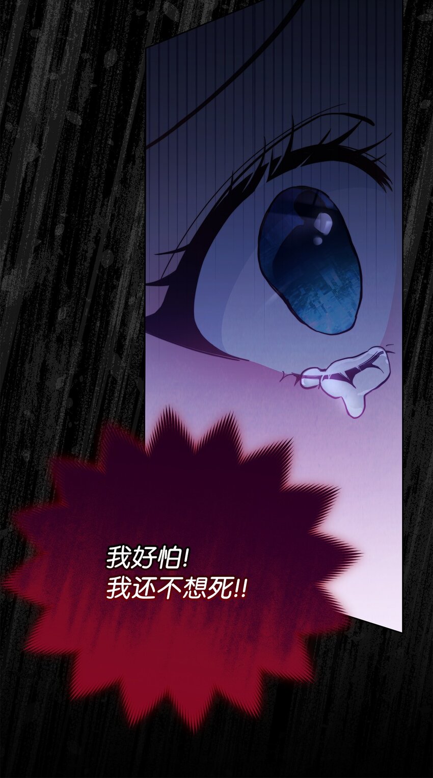 25 狂躁症发作60