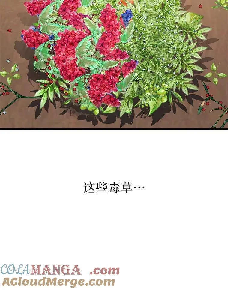 12.夺冠53