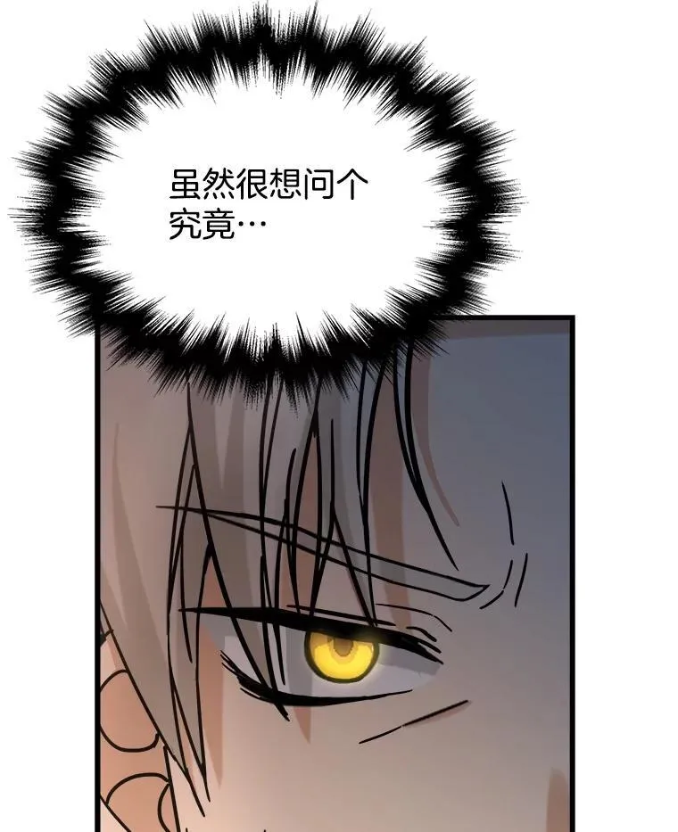 13.择主的矿物93