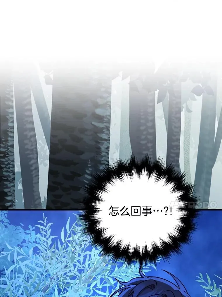 21.选择之路6
