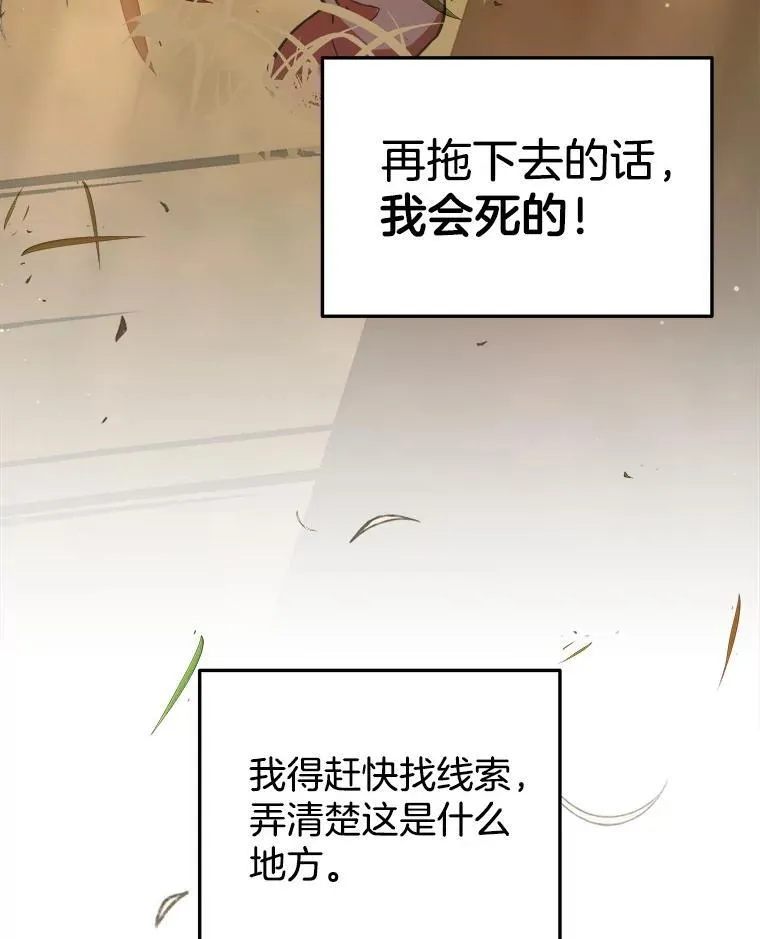 5.艾丹81