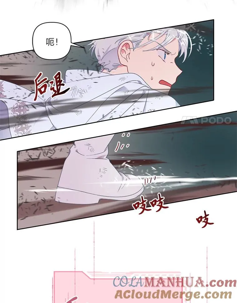 29.第三个计划75