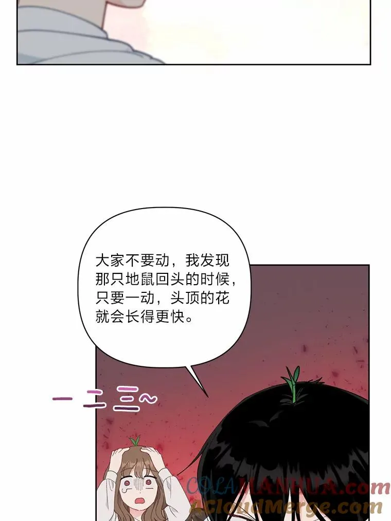 26.一二三彼岸花67