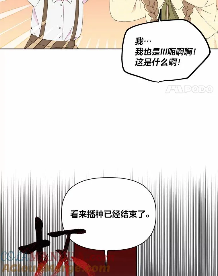 26.一二三彼岸花58