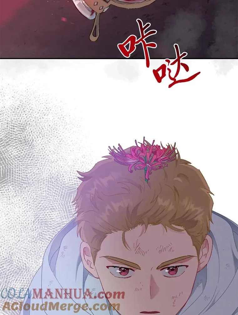 29.第三个计划15